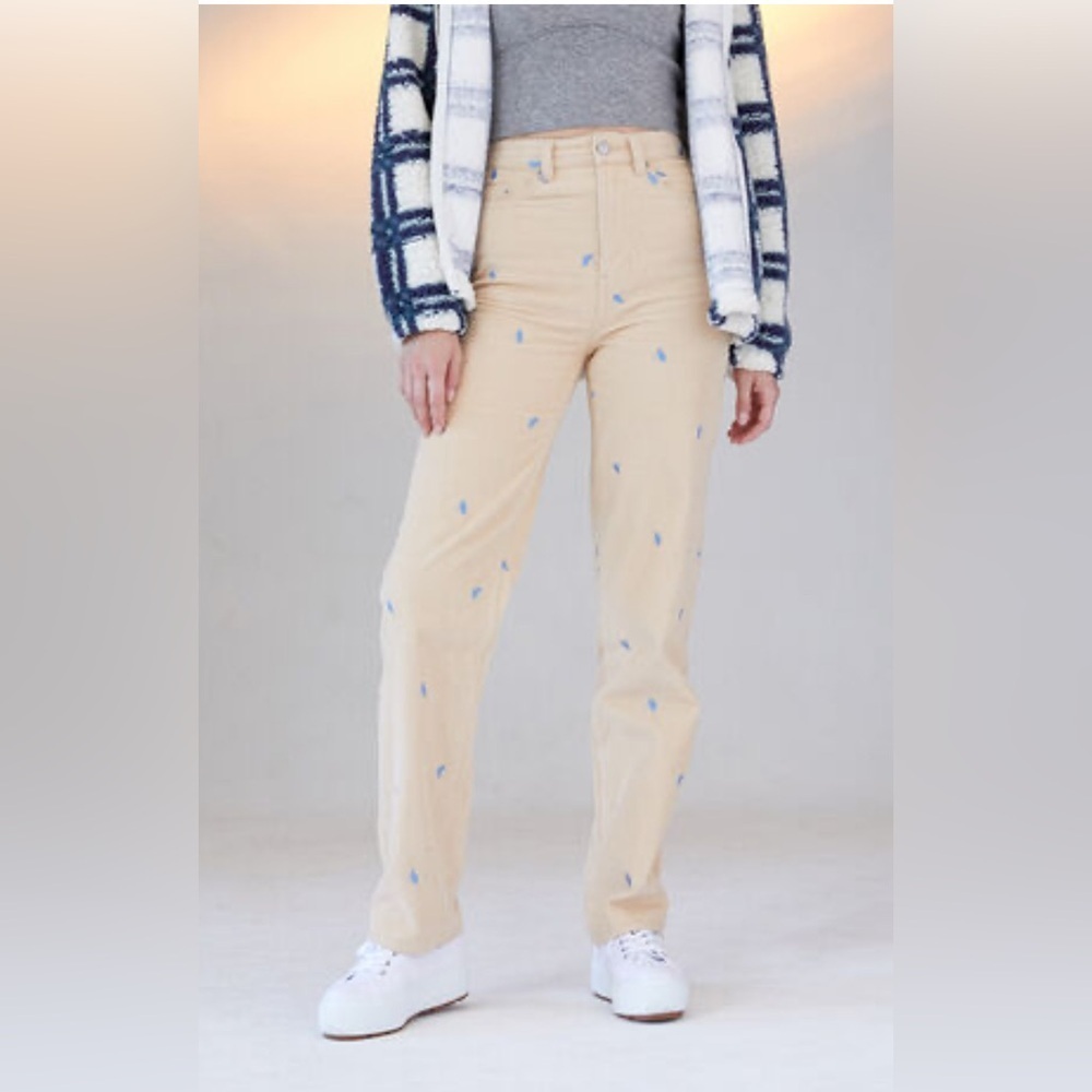 Pacsun size 25 90s boyfriend mushroom decal jeans/cords